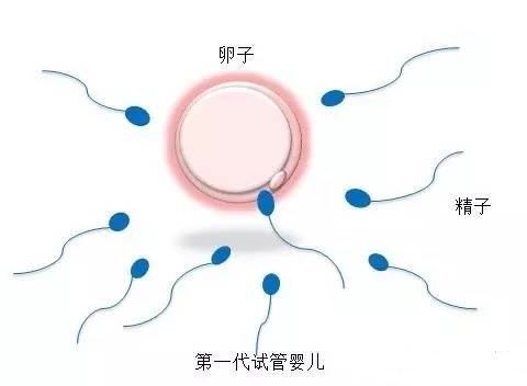 伊藤医師